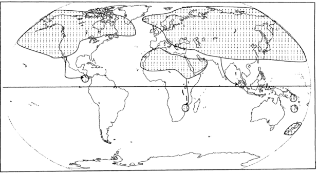 Screen Shot 2019-08-09 at 7.40.57 PM.png